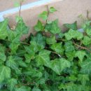 의령민박 이미지