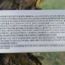 스킨포레 네이버블로그