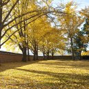 은행1리 이미지