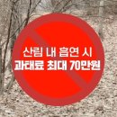 산림조합중앙회 동부산림사업본부 | [산림청 보도]산림청 차장이 운동하는 이유? (외13건)