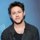 Niall Horan - Nice To Meet Ya( 만나서 반가워요) 이미지