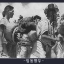 대중포목