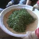 박씨농장 이미지