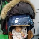 루다네 까까 이미지