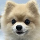 몰래멍냥 이미지