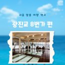 오손도손작은도서관 | 서울 한강 다리 아래로 내려간다고? 전세계 3곳뿐인 전망대 광진교 8번가 가는법 주차