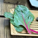 뚱보네푸줏간 이미지