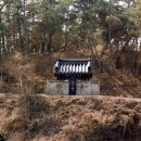 우졸재 박한주비 네이버블로그