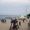 주문진수산시장 이미지