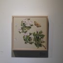 세화회원전 이미지