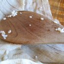 잎새쌈밥 이미지