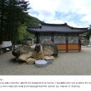 김영희농장 이미지
