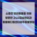 광주동물메디컬센터 | 소중한 반려동물을 위해 방문한 24시김승현외과동물메디컬센터 광주동물병원