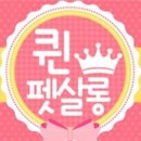 퀸펫살롱 이미지