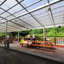 아일랜드코쿤 이미지