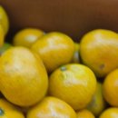 선학할인마트 이미지