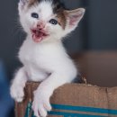 영화와영어 이미지