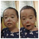 어흥어흥 이미지