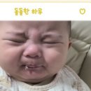지(G)푸드 | 중기 이유식 식단표 (7개월 아기 자기주도, 핑거푸드 2끼 스케줄표) PDF 파일 공유