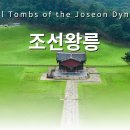탐미 - 안산시 단원구 | 탐미