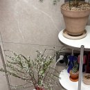 청두곶4길 21-7 | 남대문시장 데이트 코스 추천 토요일 방문 후기 꽃시장 칼국수거리 그릇쇼핑까지