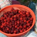 김순기농장 이미지