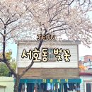 서호동마을회관 | 제주도 벚꽃 명소 실시간, 서호동 대륜동 서귀포 벚꽃축제