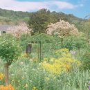 오송종합사회복지관 이미지