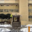 목련로273번안길 이미지