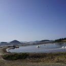 핑크섬 민박 이미지