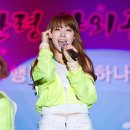 대관령 야외공연장 이미지