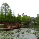 경상남도 수목원 이미지