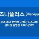 디즈니플러스(Disneyplus) 이미지