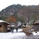 윌컴 Daum카페