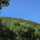 양남농장 | [텀즈] 경주 양남의 푸릇푸릇 넓은 잔디밭 애견 동반 가능한 텀즈 방문후기