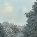 오토오아시스 스타필드 수원점 이미지