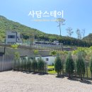 충북 괴산 펜션 사담스테이 D1동 내돈내산