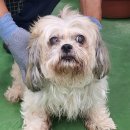 용두대로23길 이미지