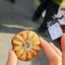 무뚝이청국장&순두부 | 냥아치의 아산시로 떠난 여행