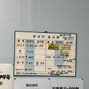 가야생오리 이미지