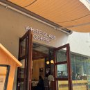 티타임커피 온천점 | 3월 후쿠오카 여행기 #5｜화이트 글래스 커피 & REC COFFEE, 후쿠오카 스페셜티 카페 추천