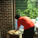 영희네 민박 이미지