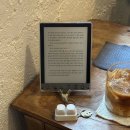 오닉스(ONYX) | 6인치 이북리더기 추천 :: 오닉스 북스 고6 (포크6) 두 달 실사용 후기 + 악세사리 추천 Onyx Book Go6