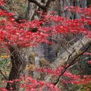 폭포가든 이미지