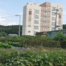 여주-0773 이미지