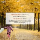 지도 왕벚나무길 이미지