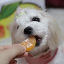 경훈농장 이미지