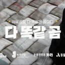 바라봄동물병원 이미지