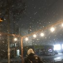 데굴데굴 네이버블로그
