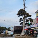 아이러브 장자도민박 | 카라반 캠핑을 할 수 있는 [아이러브장자도 민박]